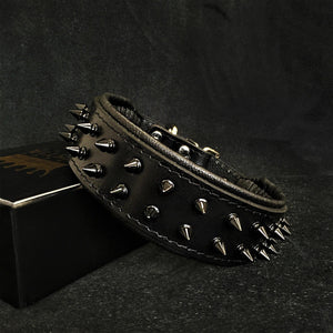 BLACK "Frenchie" collar